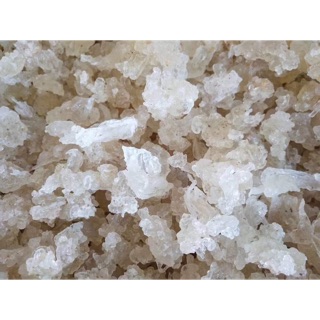 Tuyết yến- tổ yến thực vật