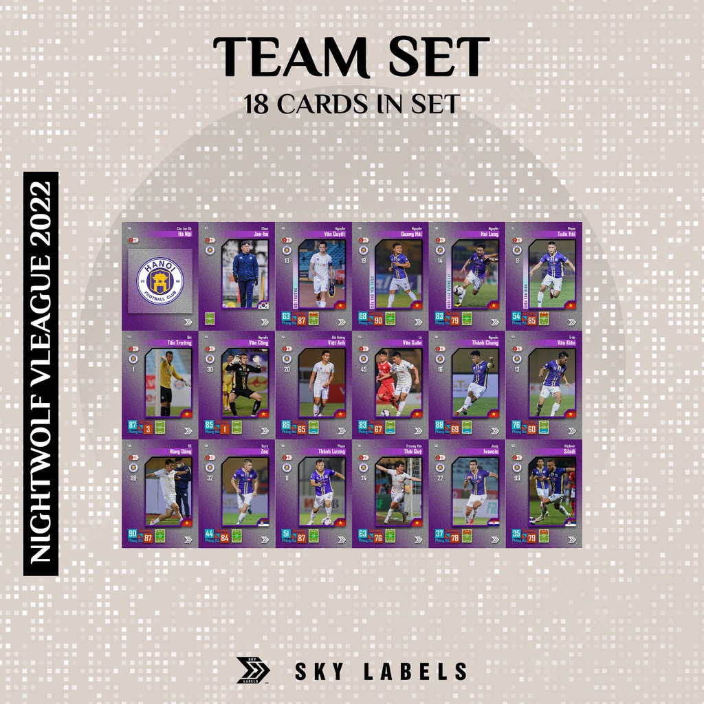 Bộ thẻ cầu thủ bóng đá VLeague 2022 | 18 thẻ