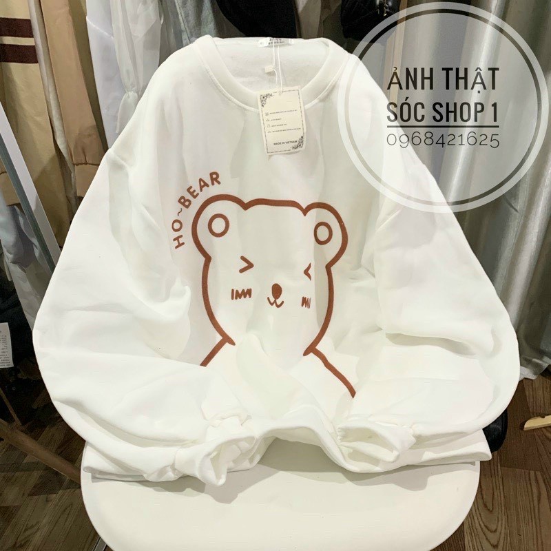 Áo Sweater Nữ Chất Nỉ PE Dày Mịn Kiểu Chui Đầu HO BEAR Phong Cách Trẻ Trung Form Rộng Mặc Thoáng Mát [NEW UNISEX]
