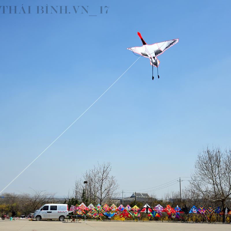 DIỀU SẾU ĐẦU ĐỎ - DIỀU HỒNG HẠC 2 MÉT