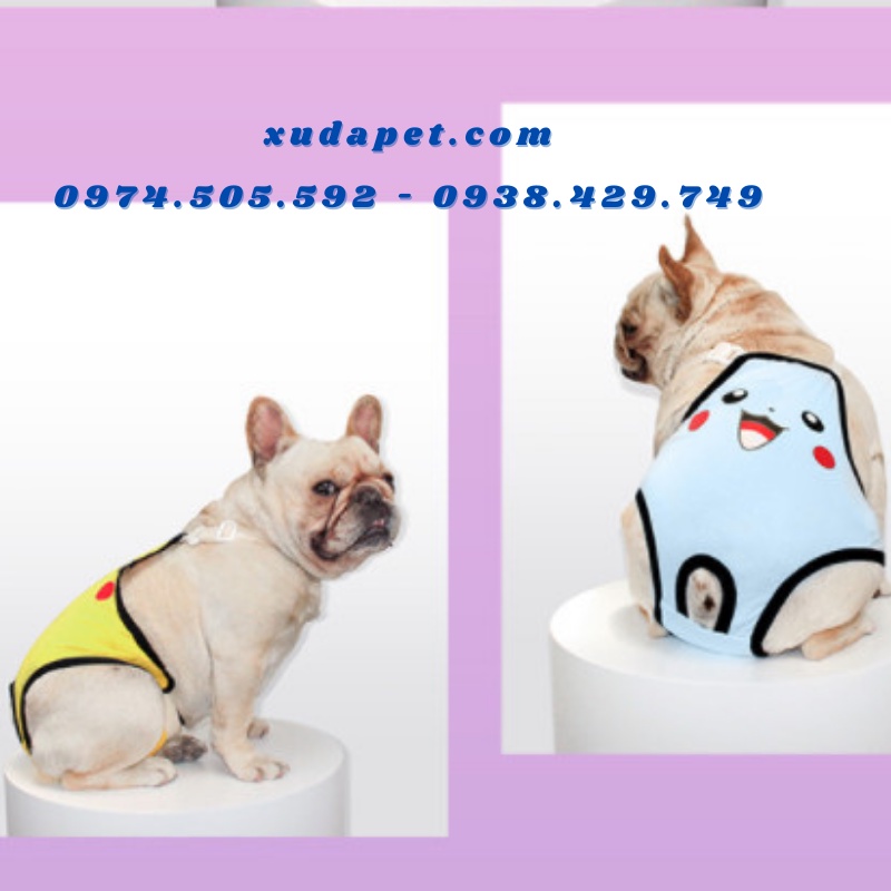 YẾM QUẦN SINH LÝ PIKACHU CHO CHÓ MÈO TRONG KỲ KINH NGUYỆT  - SP005288