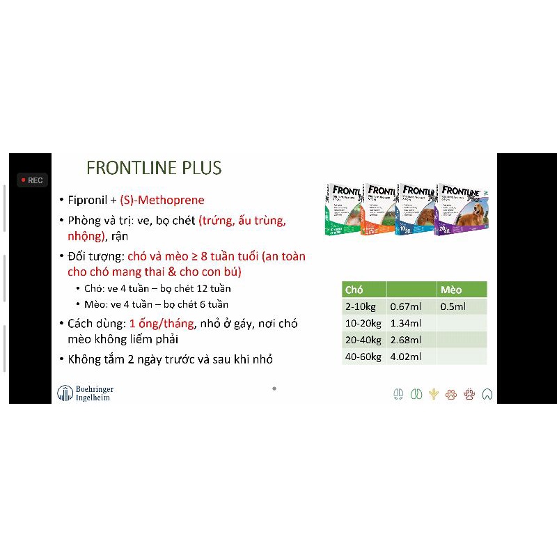 Frontline Dog - nhỏ gáy loại bỏ ve rận, bọ chét trên chó