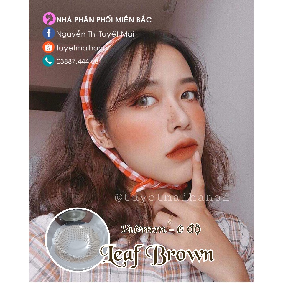 Leaf Brown 14mm 0 Độ - Lens Nâu Tây - Kính Áp Tròng Vassen Hàn Quốc