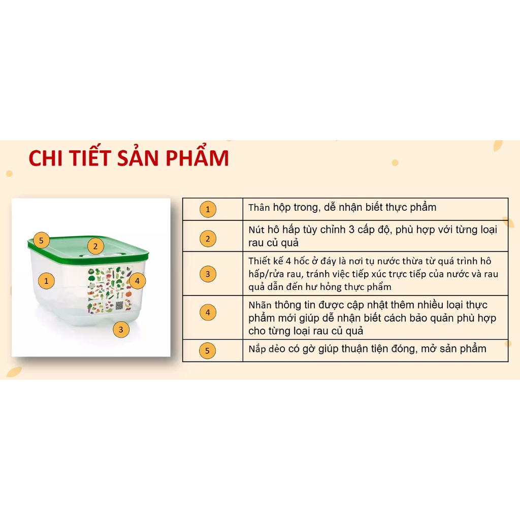 Bộ hộp trữ mát có nút hô hấp Tupperware Ventsmart 4 hộp