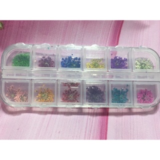 Hoa khô ẩn gel,bột