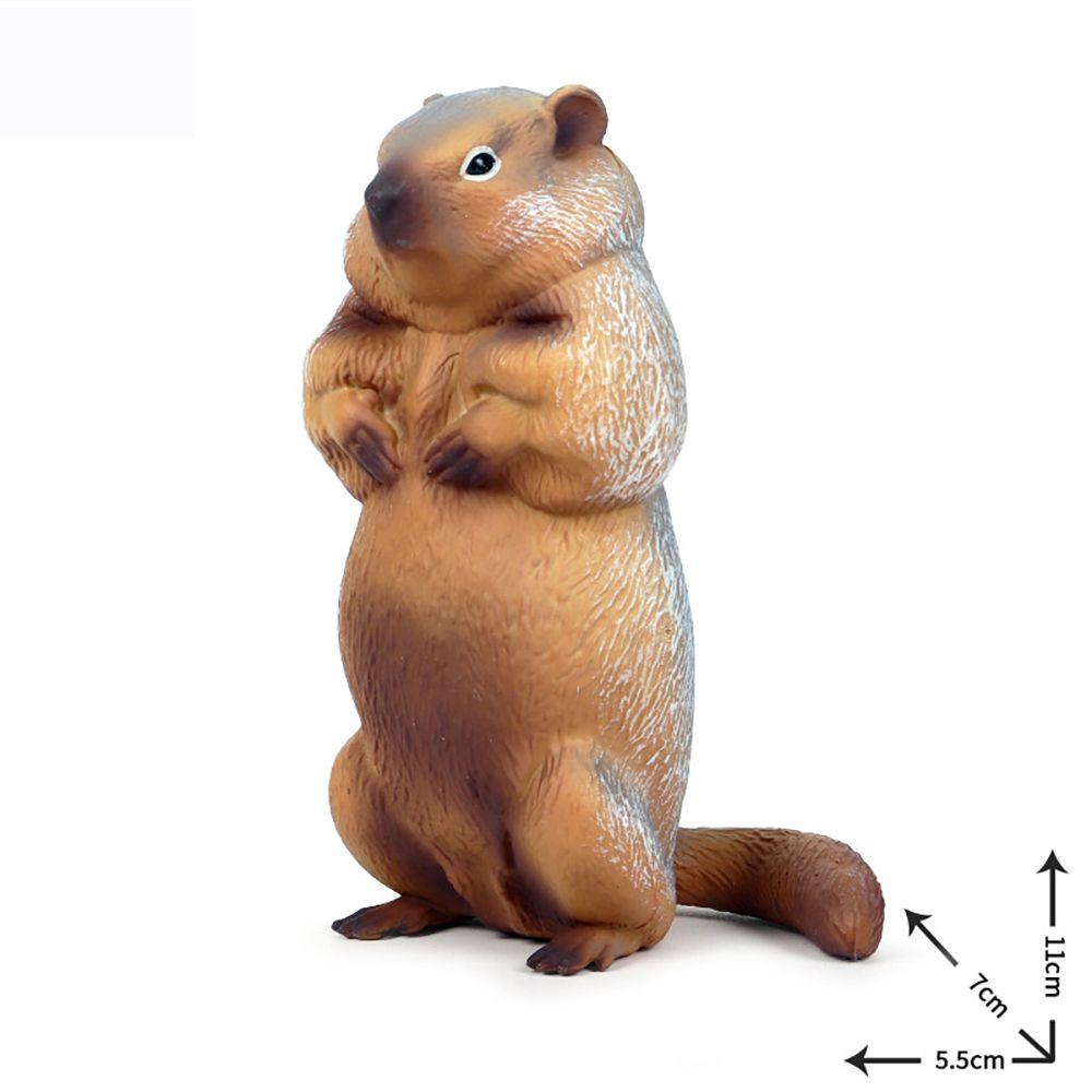 Mô Hình Marmot Đồ Chơi Giáo Dục Nhận Thức Tự Nhiên Như Thật Cho Bé
