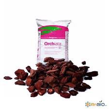 VỎ THÔNG NEWZEALAND GÓI 1KG