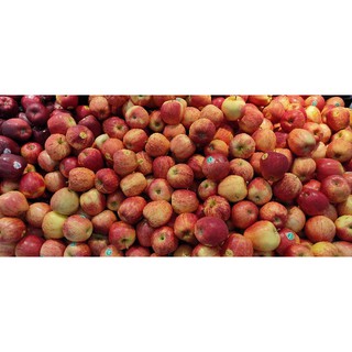 Táo Gala New Zealand  1kg