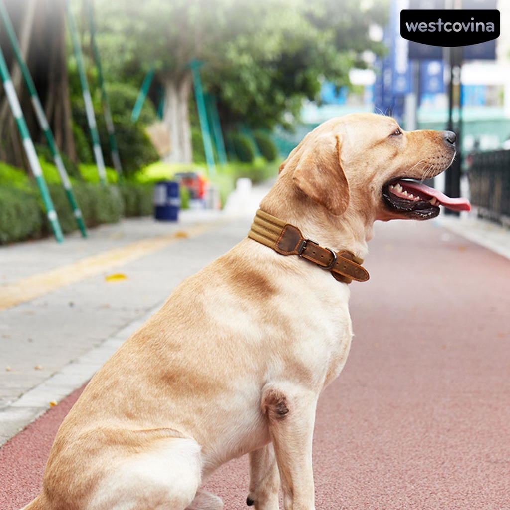 [Mới]♞Vòng Cổ Giả Da Thoáng Khí Có Thể Điều Chỉnh Cho Thú Cưng