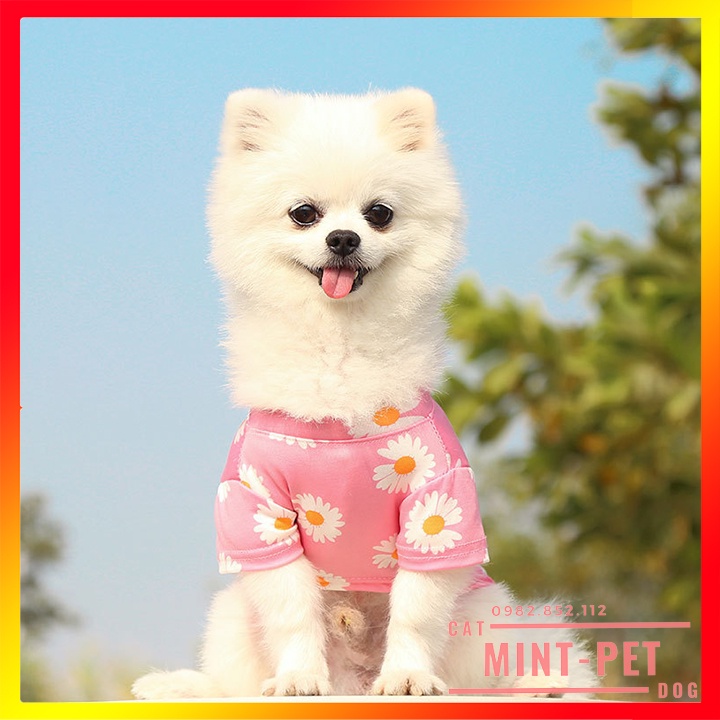 Áo Mặc Mùa Hè Cho Chó Mèo - Mẫu Hoa Cúc #MintPet