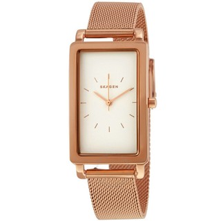 Đồng hồ nữ Skagen SKW2466