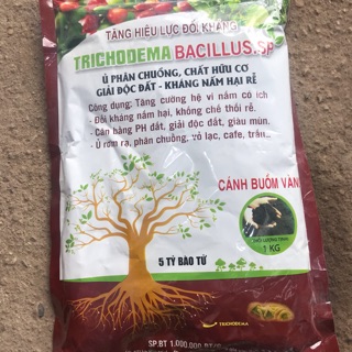 Chế phẩm sinh học TrichoDema 1kg