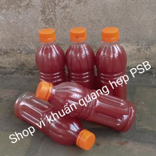 Vi khuẩn quang hợp PSB