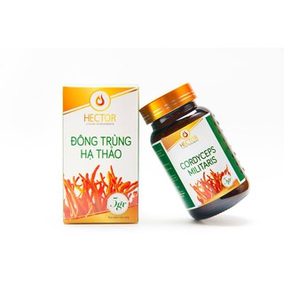 [CHÍNH HÃNG] Đông trùng hạ thảo Hector Sấy thăng hoa 5gr/hộp