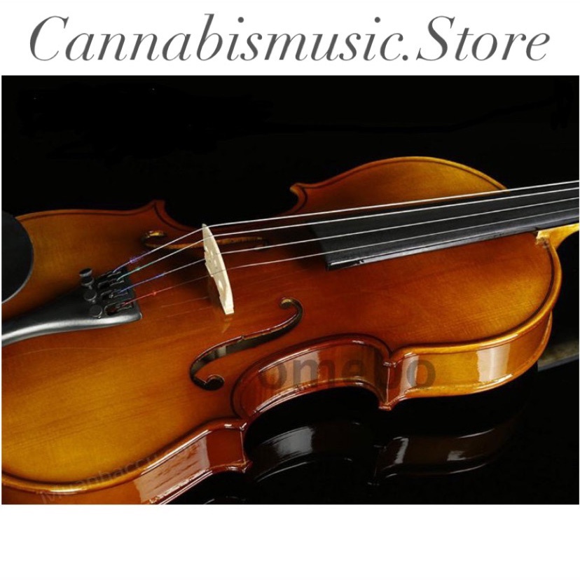 Đàn Violin Omebo Size 4/4 RV-205