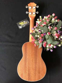Đàn ukulele soprano VT-550