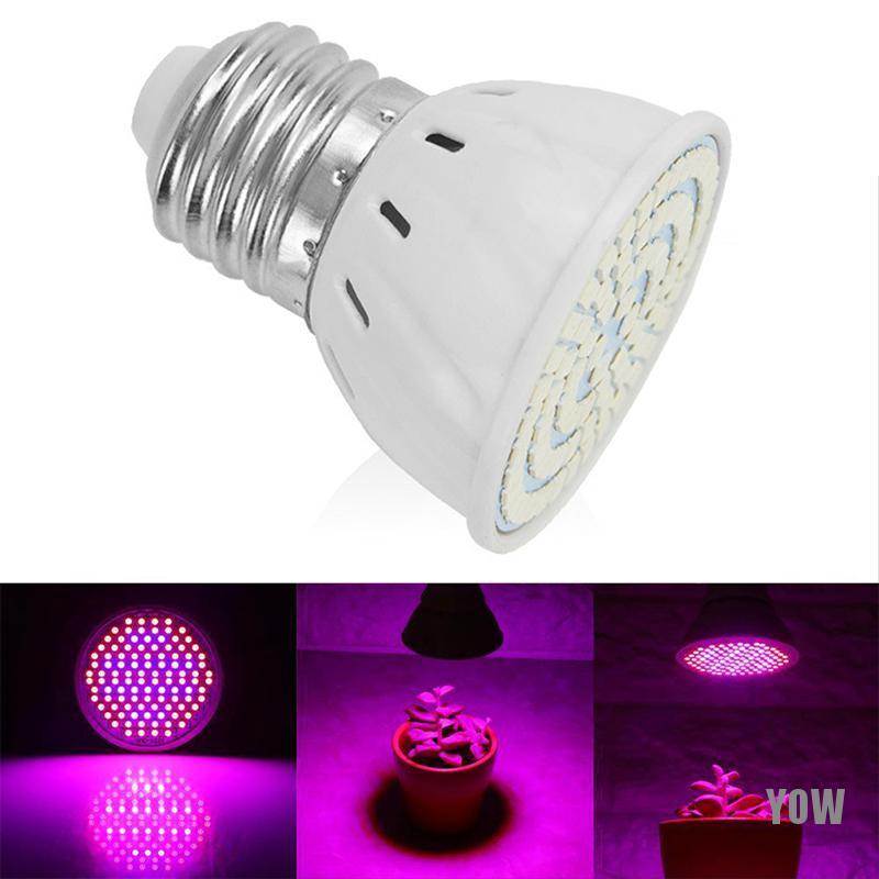 Đèn Led Trồng Cây E27 48 / 60 / 80 220v