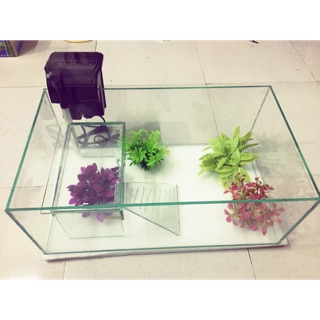 [Mã PET50K giảm Giảm 10% - Tối đa 50K đơn từ 250K] Cây cỏ trang trí bể rùa , trang trí bể cá cảnh (cây trang trí)