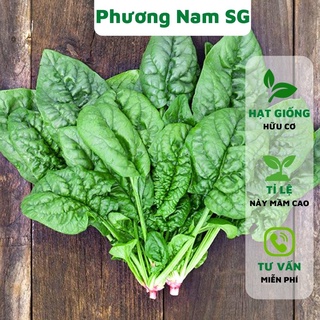 Hạt giống cải bó xôi Phương Nam 5gr