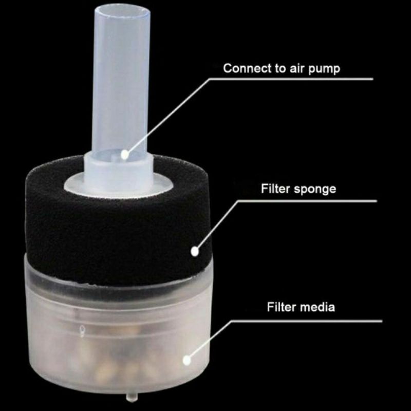 Lọc Sủi Vi Sinh Mini 2 Tầng xy-168 -Milo Guppy