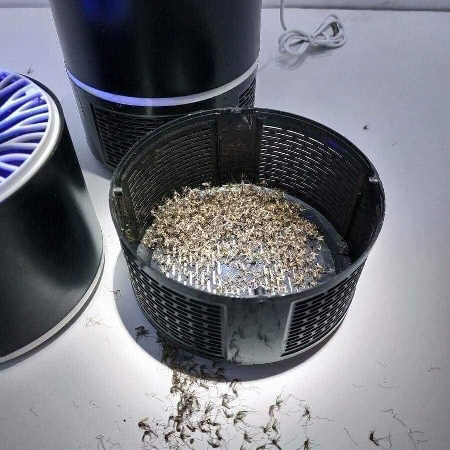 Đèn bắt muỗi hình trụ thế hệ mới