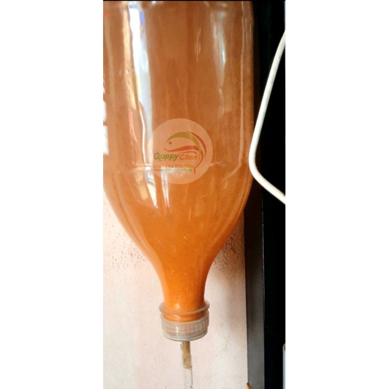 [Mã PETMS09 hoàn 8% đơn 199K] Giao hàng hỏa tốc TPHCM - Mua 10 tặng 1 - Atermia thức ăn cho cá cảnh