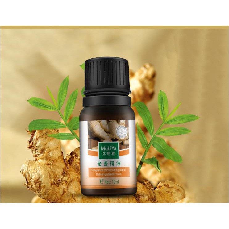 Lọ 10ml tinh dầu gừng,ngải cứu