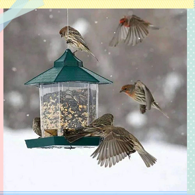 Dụng Cụ Đựng Thức Ăn Cho Chim Treo Ngoài Trời Tiện Dụng