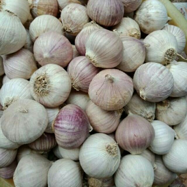 Sỉ giá gốc 1kg tỏi cô đơn