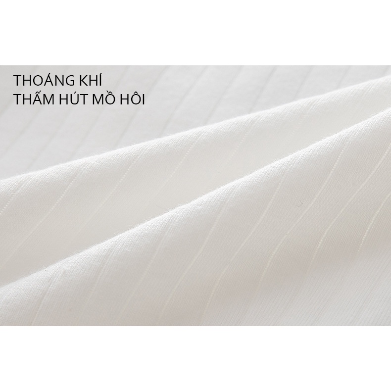 Quần lót nữ cotton lót kháng khuẩn,viền ren mềm mại 316