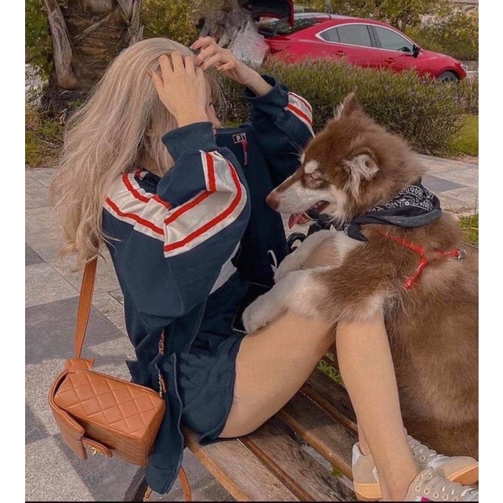 Áo Nỉ Zip PITAO  Nữ [FREESHIP] 🌸 Sweater cao cổ dài tay bồng,sọc tay  form rộng cá tính Ulzzang 🌸 | BigBuy360 - bigbuy360.vn