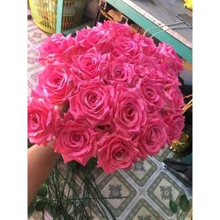 hoa hồng nhung cành 1 bông