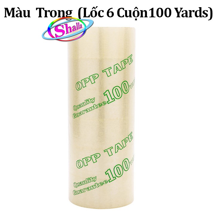 Lốc 6 Cuộn Băng Keo Đục- Trong (6 x 100 Yards ) SQ21 Shalla