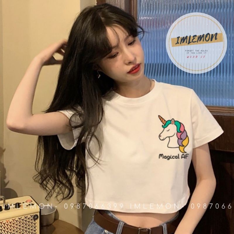 Áo croptop nữ bigsize form rộng tay lỡ nhiều mẫu