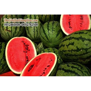 Hạt giống Dưa hấu Đỏ 20 hạt