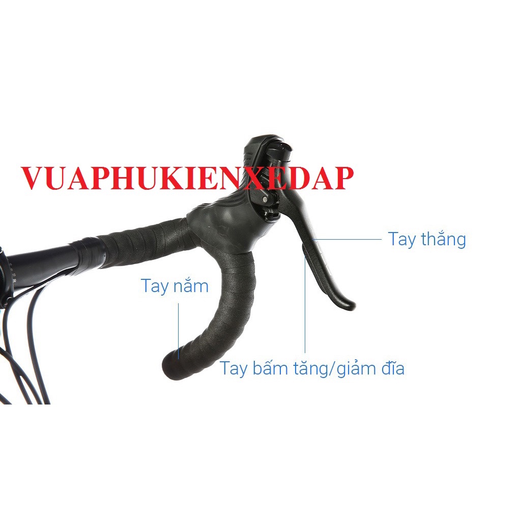 Xe đạp đua Java Veloce-Thương hiệu Ý Khung hợp kim nhôm 2x9 18 Tốc độ