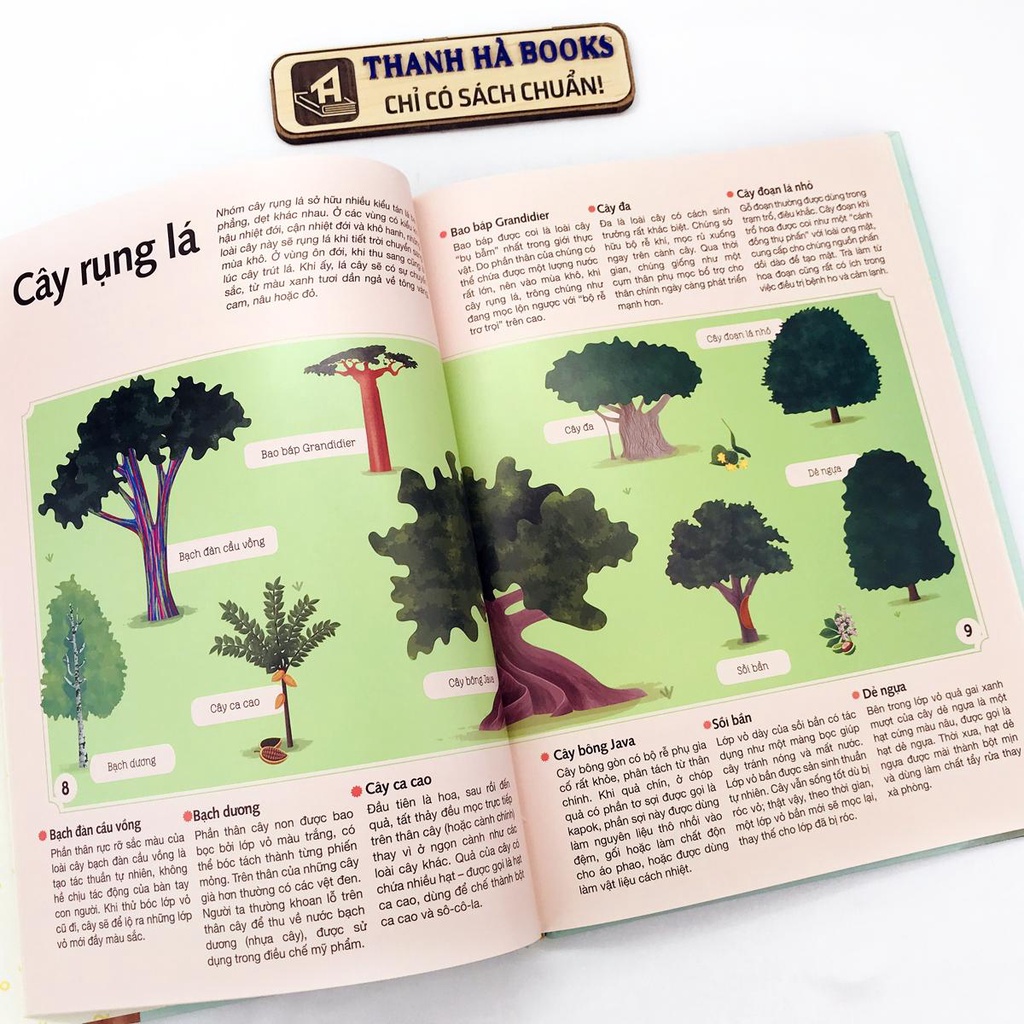 Sách - Bách Khoa Toàn Thư Về Thực Vật, Nấm Và Địa Y  - Phiên bản dành cho giới trẻ