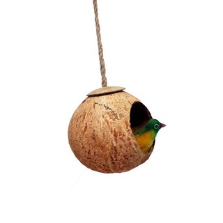 Tổ chim gáo dừa đơn