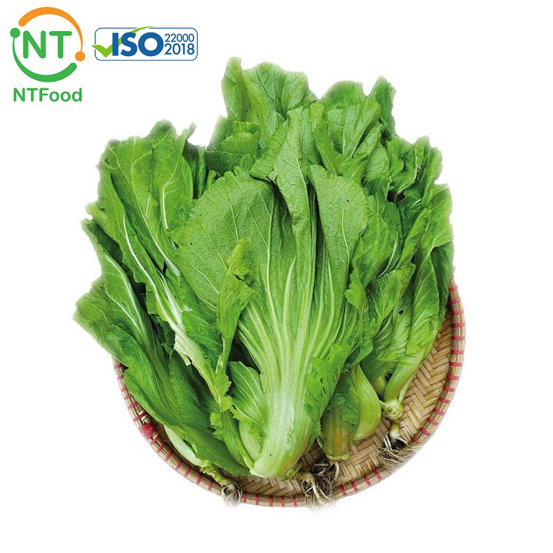 [HCM] Cải bẹ xanh Đà Lạt NTFood - tươi ngon mỗi ngày - Nhất Tín Food