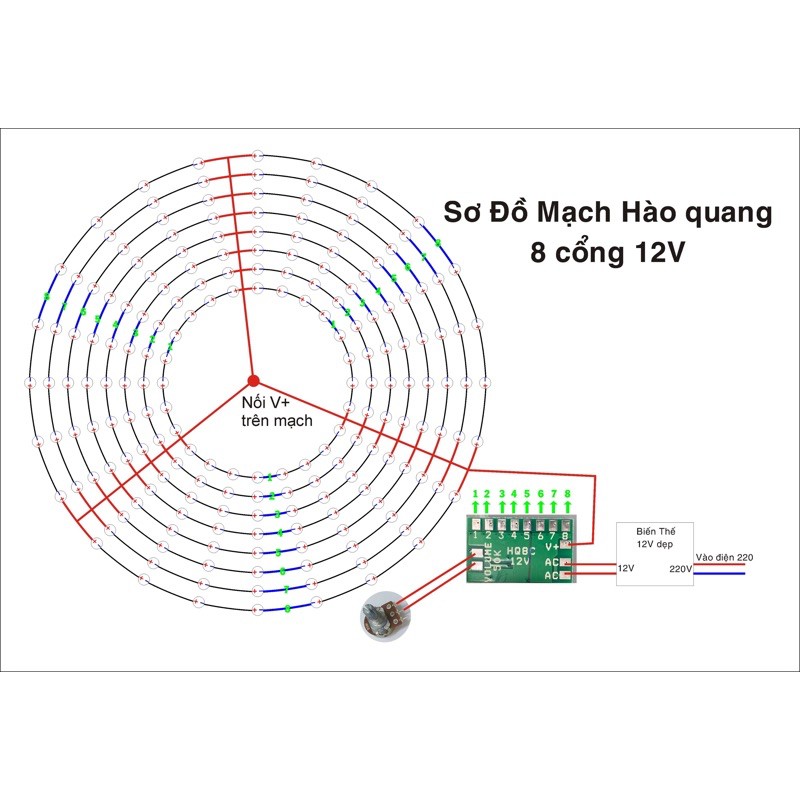 Set 5 Mạch hào quang 8 cổng 12v chương trình