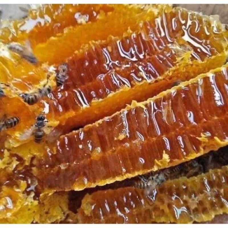 mật ong nhãn hưng yên dung tích 500mml mật ong nguyên chất đặc sản hưng yên