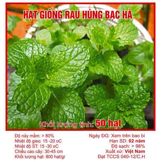 Hạt giống rau húng bạc hà