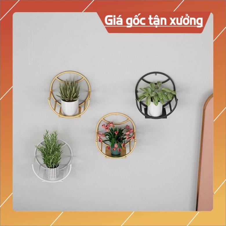 GIÁ GỐC TẬN XƯỞNG GIÁ TREO TƯỜNG DÁN CƯỜNG LỰC, KỆ TREO HÌNH BÁN NGUYỆT NĂNG TRANG TRÍ NHÀ CỬA