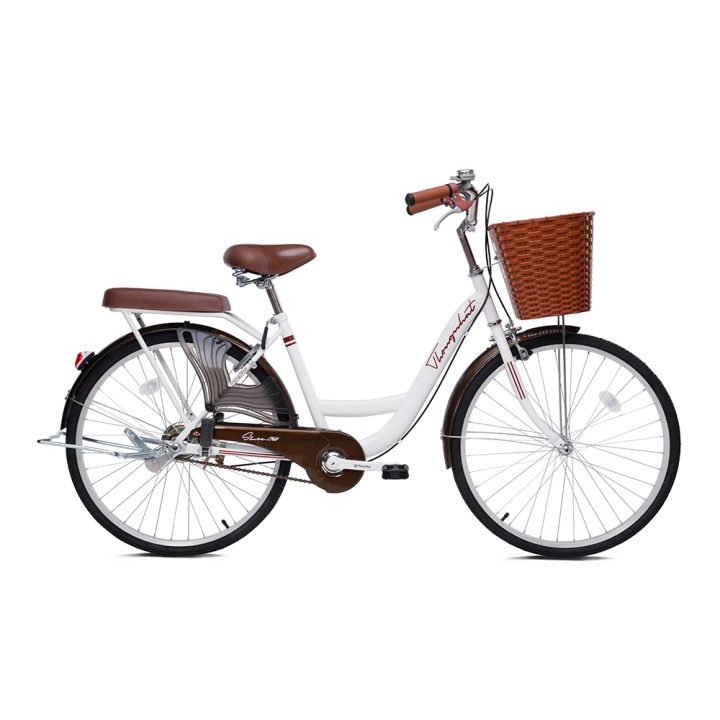 Xe Đạp Nữ Đẹp - Mini Thống Nhất Việt Nam khung võng