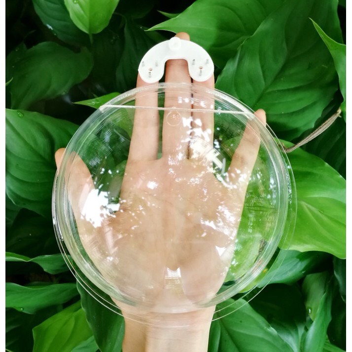 Bể Cá Treo Tường Đa Năng Chậu Cây Thủy Sinh Bình Hoa Gắn Tường Chất Liệu Acrylic