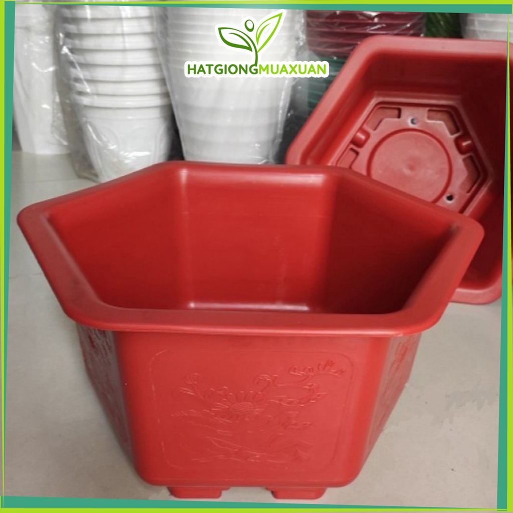 Set 10 chậu lục giác đk 35cm cao 20cm