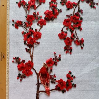 Hoa mai bộ 01