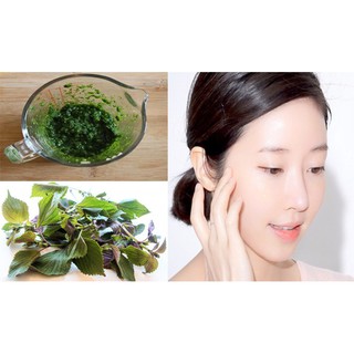 BỘT LÁ TÍA TÔ 50G