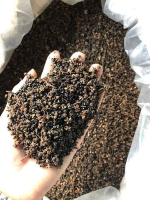 Hạt Dổi, Mắc Khén (5-20 Hạt, 50-100gr Giá Dùng Thử)