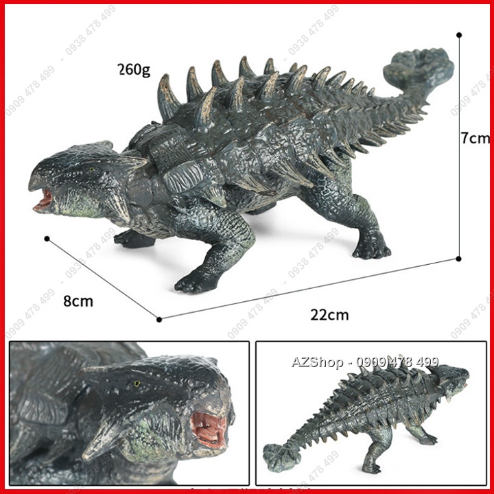 Mô Hình Khủng Long Đuôi Búa Size Trung 22cm - Ankylosaurus Polacanthus - 7719.7